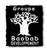 Logotipo de Groupe Baobab Développement